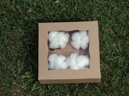 Here, some of the most unique and fresh 2nd anniversary gifts for her, and for him. 2nd Anniversary Gift Of 4 Cotton Bolls