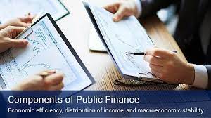 Learn about the basics of public, corporate, and economics and finance are interrelated, informing and influencing each other. Public Finance Definition And Components Villanova University