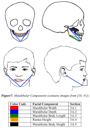 I'M 22, Can My Jaw And Chin Still Grow Naturally Till 25? Or That Is  Impossible? (Photo)