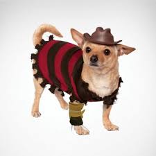 Why buy a husky puppy for sale if you can adopt and save a life? Dog Costumes Pet Costumes For Halloween Party City