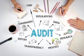 Audit in Progress