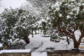 Nevada en un campo cercano a la ciudad de hernando. Video Asi Nevo En Las Sierras De Cordoba El Litoral Noticias Santa Fe Argentina Ellitoral Com
