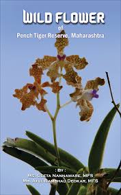 Image result for Sopubia conferta