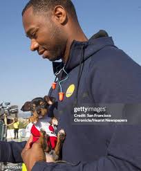 115 Dog Cat Airport Stock Photos, High-Res Pictures, and Images