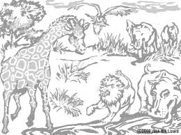 An elephant baby, or a calf, is usually born at about 250 pounds and three feet tall (yes, really). African Safari Animals Coloring Pages Tourism Company And Tourism Information Center
