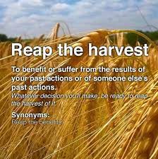 Idiom Reap The Harvest Idioms English Idioms Vocabulary