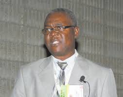 Head veterinarian details nation's struggles, hopes