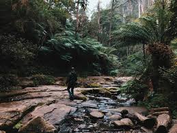 Loch Ard Gorge
