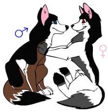 And some of the art is not mine i just really like the. Aryana Aryanadawson Profile Pinterest