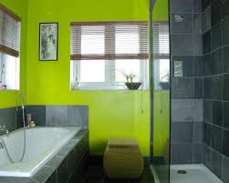 When lime green is mixed with white, it creates the right color balance in the bathroom. Amazingly Refreshing Lime Green Bathrooms That You Will Love Top Dreamer