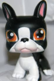 Black And White Boston Terrier Pictures Electronics Cars Fashion Collectibles Coupons And More Ebay Little Pet Shop Littlest Pet Shop Pet Shop