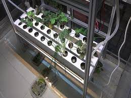 Green House Hydroponics Aluminum Rack Pvc Gully Diy Setup Hydroponics Nft Hydroponics Greenhouse