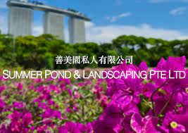 Landscaping | Summer Pond | Singapore