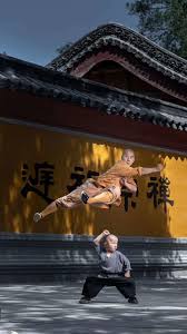 هو فيلم من إنتاج عام 1982 والفيلم من إخراج هسن يان تشانغ ومدة عرض الفيلم ساعة و 35 دقيقة و تقييم الفيلم على موقع imdb. Shaolin Master And Disciple Shaolin Kung Fu Arts Martiaux Martial