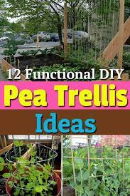 12 Functional Diy Pea Trellis Ideas Pea Trellis Vegetable Trellis Trellis Plants