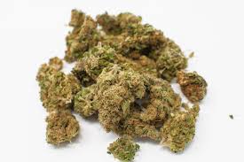 Each strain has its own terrific aroma. Qualitat Bei Cbd Bluten Erkennen Cbd Guide Austria