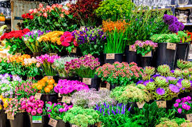 Voor 12 uur besteld, dezelfde middag bezorgd. Laat Jouw Bloemen Bezorgen Door Leurs In Venlo