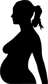 SVG > femme la nature sexe estomac - Image et icône SVG gratuite. | SVG Silh