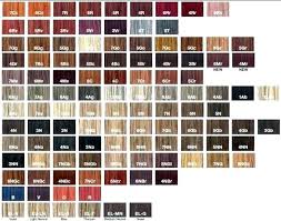Goldwell Permanent Hair Color Chart Sbiroregon Org