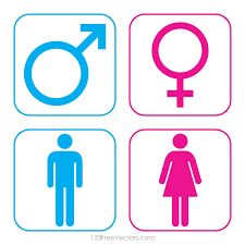 We did not find results for: Male And Female Icons Free Icon Packs Ui Download