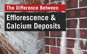 Efflorescence is caused by vapor migrating through the slab bringing soluble salts to the surface of the concrete. The Difference Between Efflorescence And Calcium Deposits