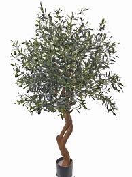 Af delivers millions of transactions per month to hundreds of advertisers from sme's to major brands. Artificial Flowers And Plants Wholesale Top Art Int Detailansicht Olive Tree Olive Tree Twisted X3264 Lvs 84 Olives 160cm