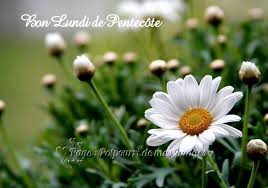 Lundi de pentecôte 2019 : á… 7 Lundi De Pentecote Images Photos Et Illustrations Pour Facebook Bonnesimages