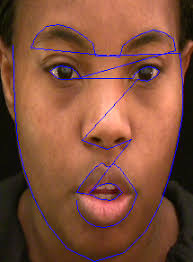 Examples of shapes for a full face tracking (left), and a lip only...