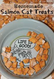 homemade salmon cat treats recipe