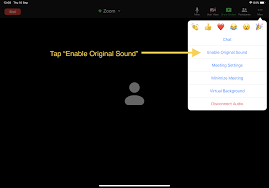 How To Lower The Zoom Volume Only - Manage The Zoom App Volume - Youtube