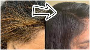 Grey hair is composed of fibres that have lost their melanin and turned white, and fibres that still retain their natural dark colour, creating an overall impression of 'grey'. Henna And Indigo 2 Step Process For Black Color Youtube