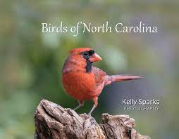 Sarabeth's good morning cookbook is for early birds and brunch addicts alone. Coffee Table Book Birds Of North Carolina 30 Pages Designer Prestophoto