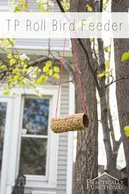 On contrasting colored paper, trace and cut of the bird, again on the backside of the paper so when cut out, you don't see your pen lines. How To Make A Toilet Paper Roll Bird Feeder