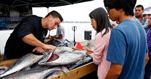 We did not find results for: Find Your Catch Of The Week At Outdoor Fish Market The San Diego Union Tribune