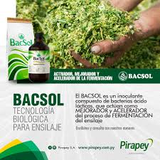 Pirapey S A Bacsol Liquido Para Ensilaje Facebook