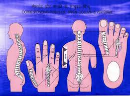 14 Read The Booklet Acupressure Reflex Points Link Http