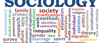 Check spelling or type a new query. What Is Sociology Article1000 Com