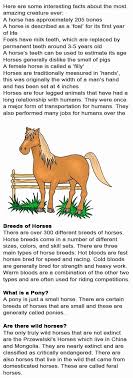 Horse Fun Facts For Kids Fun Facts For Kids Horse Facts For Kids Animal Facts For Kids