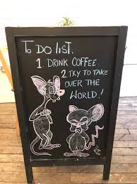 The brain has a tail like a real mouse, except it is kinked in a way that it looks like stair steps. Andrew Chance On Twitter I Think Pinky And The Brain Have There Priorities Right Tuesdaythoughts Pinkyandthebrain Southsea Portsmouth Coffee Coffeeshops Https T Co Brwdixzyfc