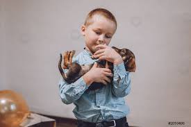 Dare cucciolo come regalo bambino, ragazzino ottenere sorpreso con gli - foto d'archivio 2010400 | Crushpixel