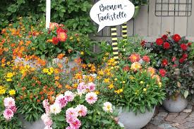 Home zeitschriften a z garten natur tiere. Selecta One Bepflanzt Bienen Balkon Taspo De