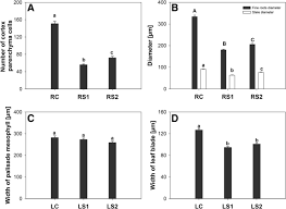 We did not find results for: Autophagy Counteracts Instantaneous Cell Death During Seasonal Senescence Of The Fine Roots And Leaves In Populus Trichocarpa Bmc Plant Biology Full Text