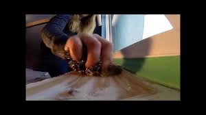 Check spelling or type a new query. Window Sill Refinishing In Winter Weather Youtube
