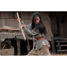 The Golden Cane Warrior (Blu-ray), Well Go USA, Action & Adventure -  Walmart.com