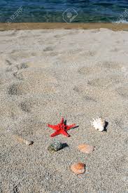Maybe you would like to learn more about one of these? Red Sea Star And Shells On Beach Near Toroni Halkidiki Greece Stock Photo Picture And Royalty Free Image Image 9326019