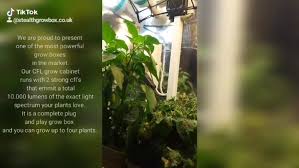 It is a fully automated grow box with enough storage area for 10 plants. Stealthgrowbox Co Uk Posts Facebook