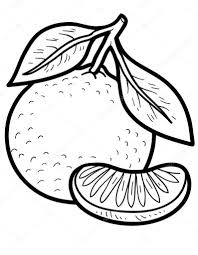 Tô màu Quả Cam và Múi Cam