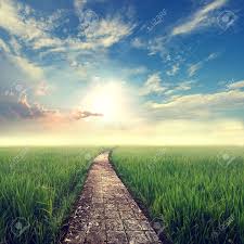 Follow the vibe and change your wallpaper every day! Vintage Nature Background Grass Field With Sky Sun Stock Photo Picture And Royalty Free Image Image 40939186