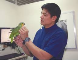 Here we have listed some important factors to consider. Dr Nielsen Donato Exotic Pet Vet Animal Scene Magazine