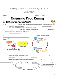 Be sure to include the main purpose of both and where they occur inside the cell. Chemical Equations Photosynthesis Cellular Respiration Worksheet Tessshebaylo